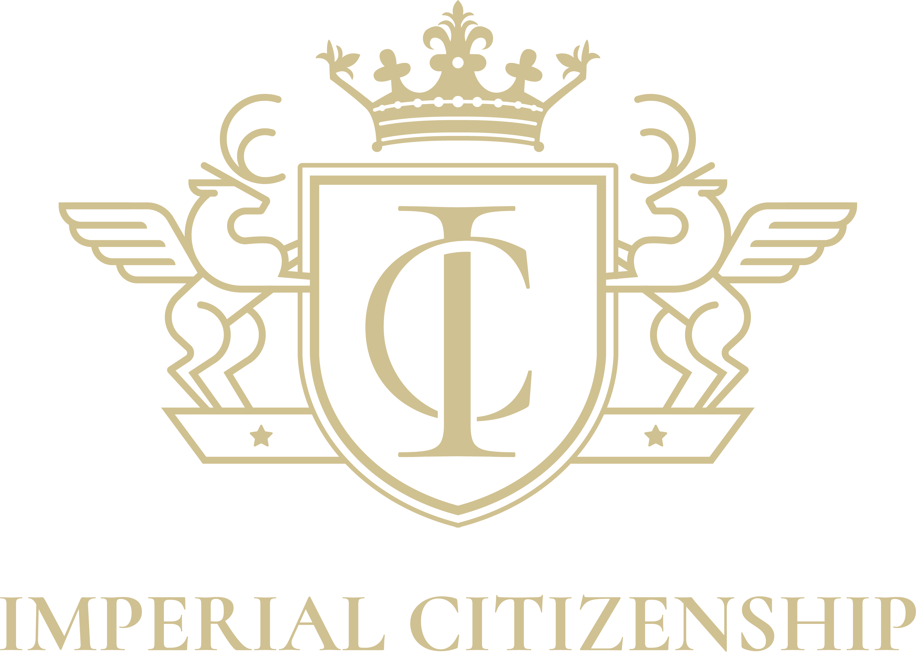 Create an impact at Imperial Citizenship