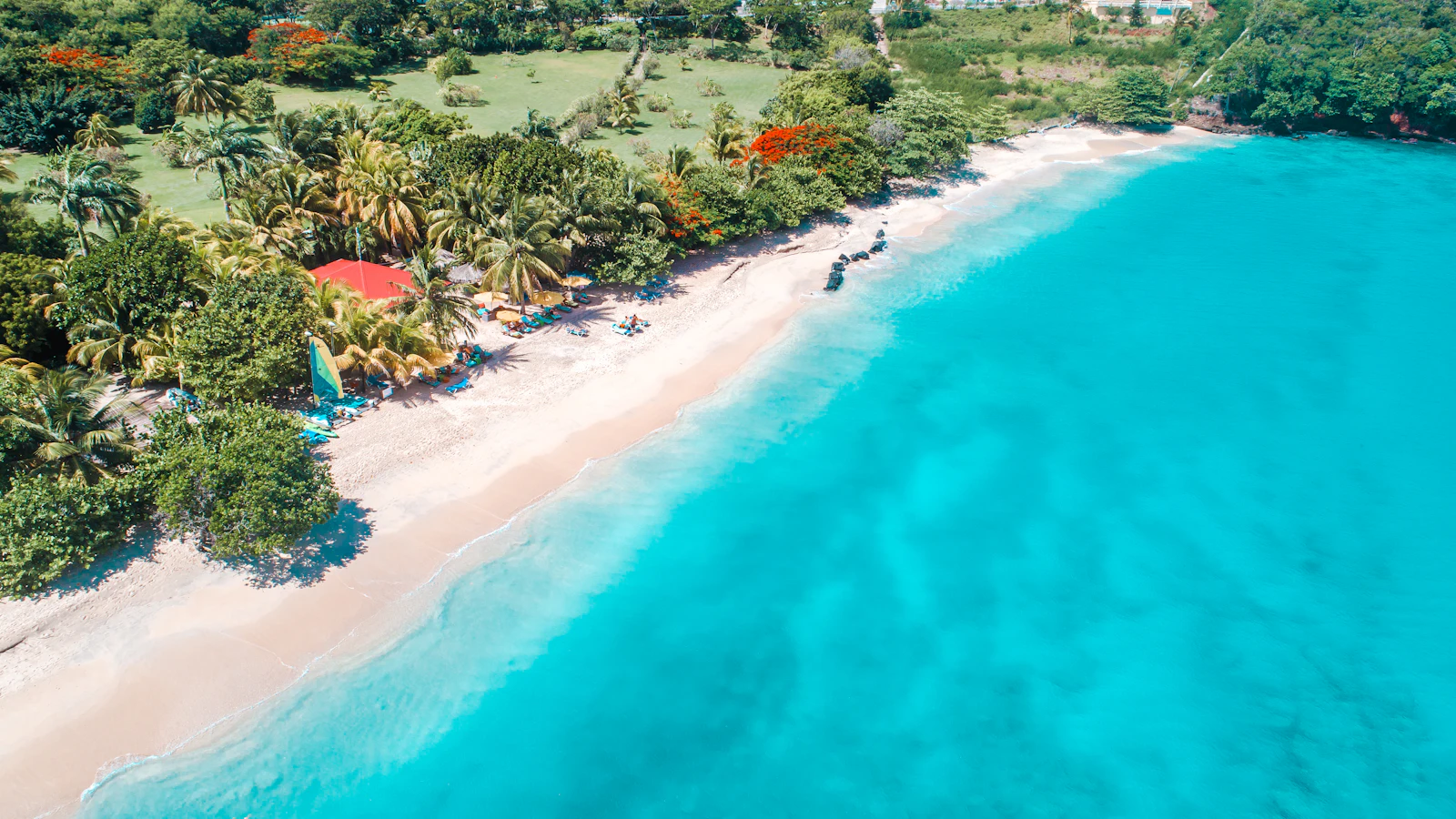 Grand Anse Beach, Grenada, for a step-by-step guide to Grenada citizenship for Nigerian investors in 2026