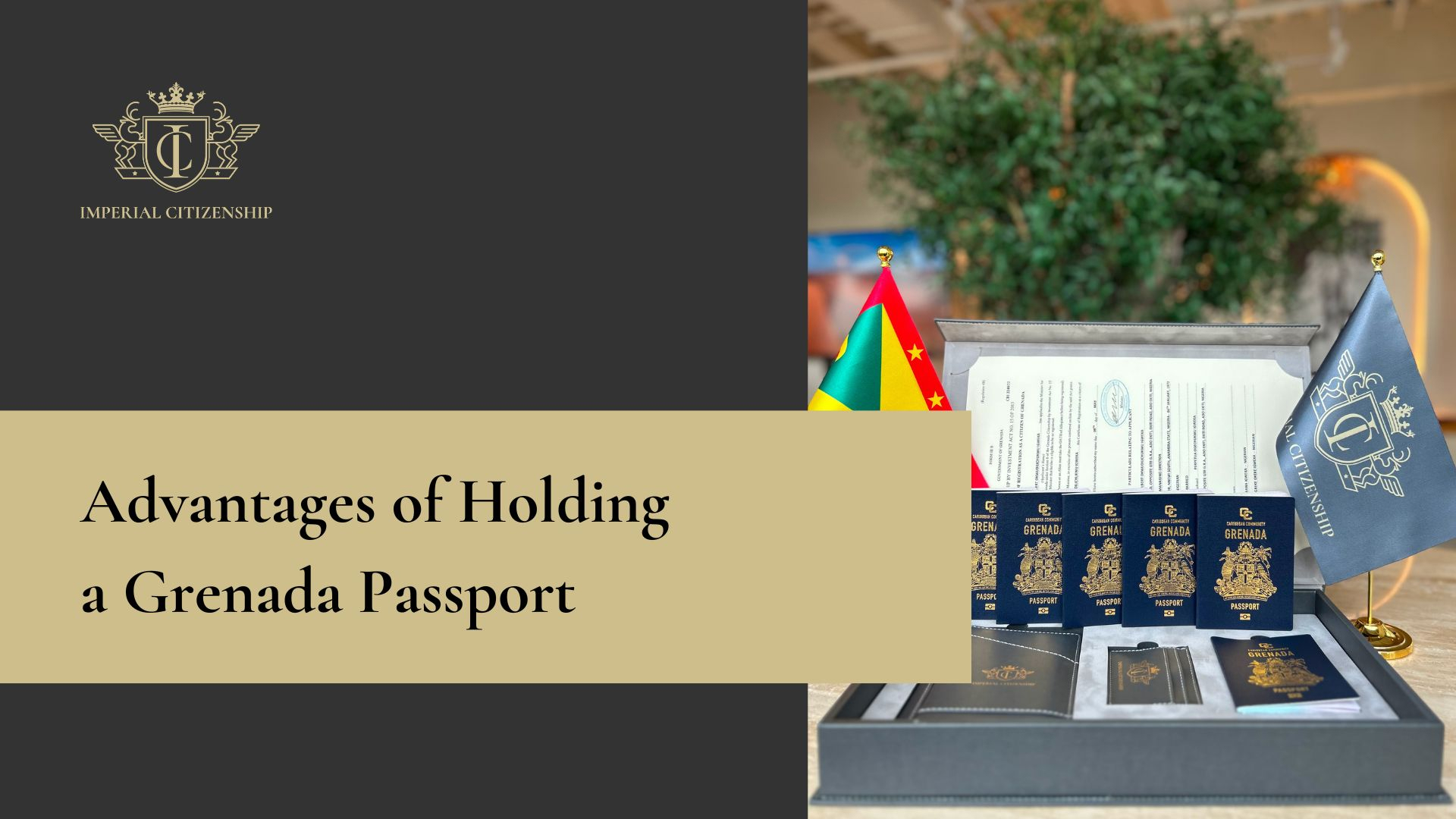 Advantages of Holding a Grenada Passport