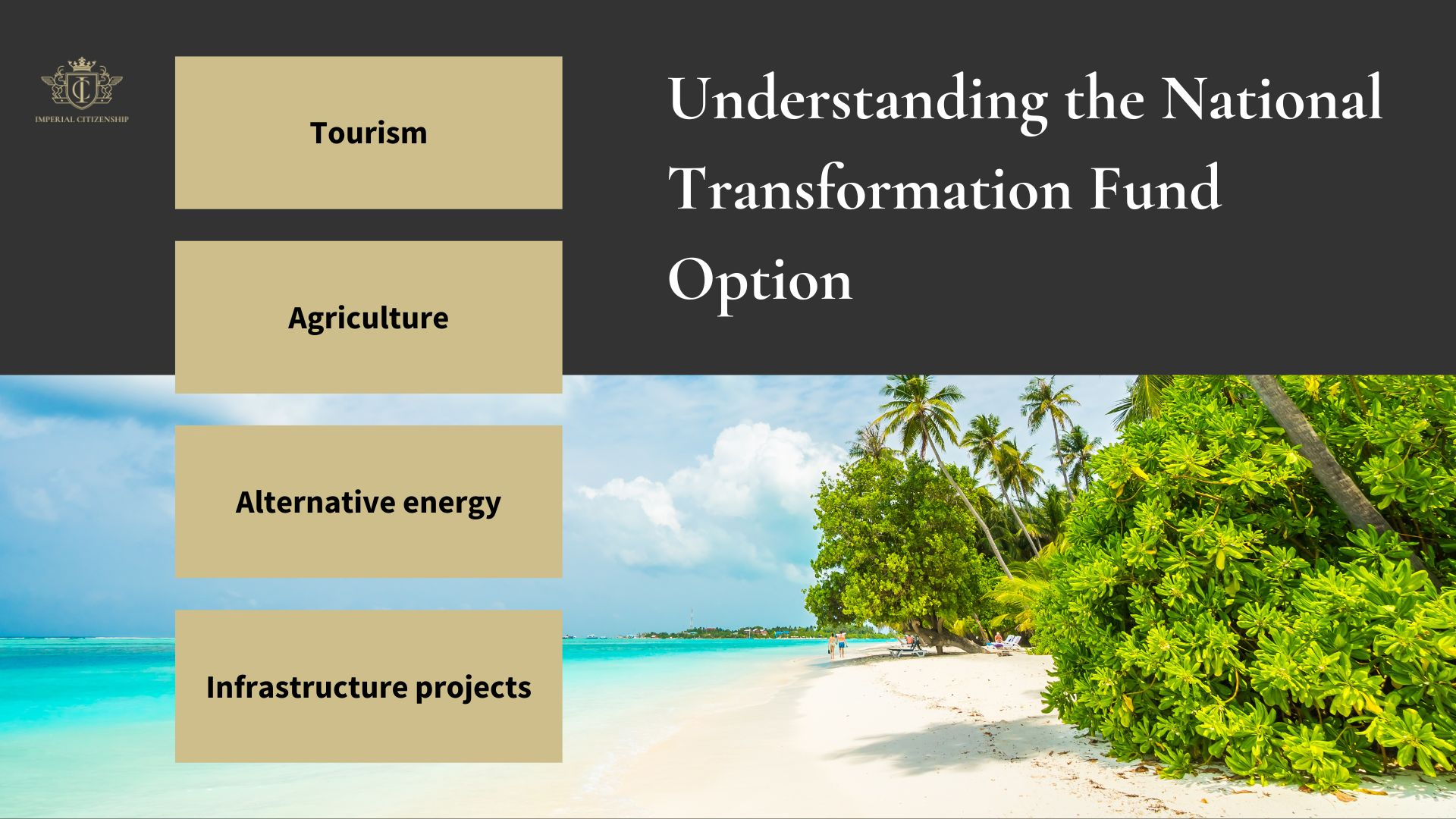 Understanding the National Transformation Fund Option